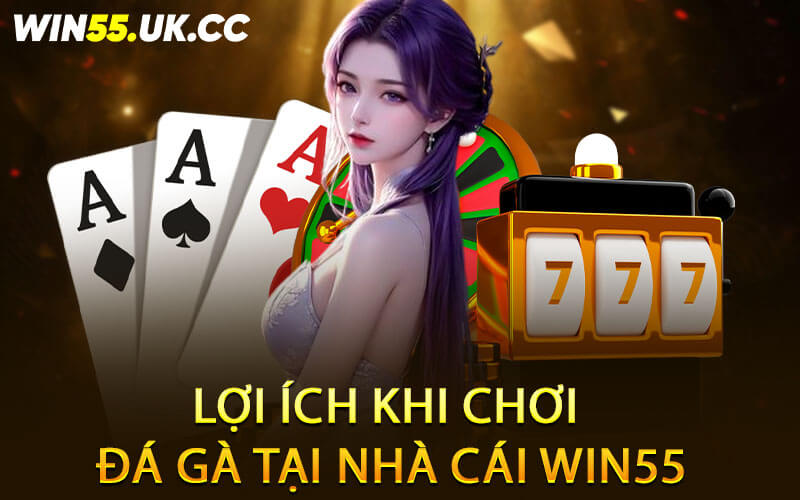 Lợi ích khi chơi đá gà tại nhà cái Win55